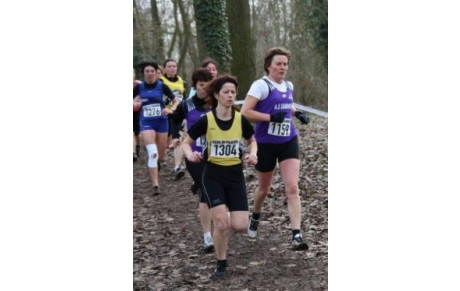 Les résultats des demi-finales de Cross de Ham